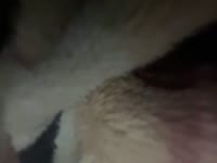 I’m singer and cute girl. Also I like dicks